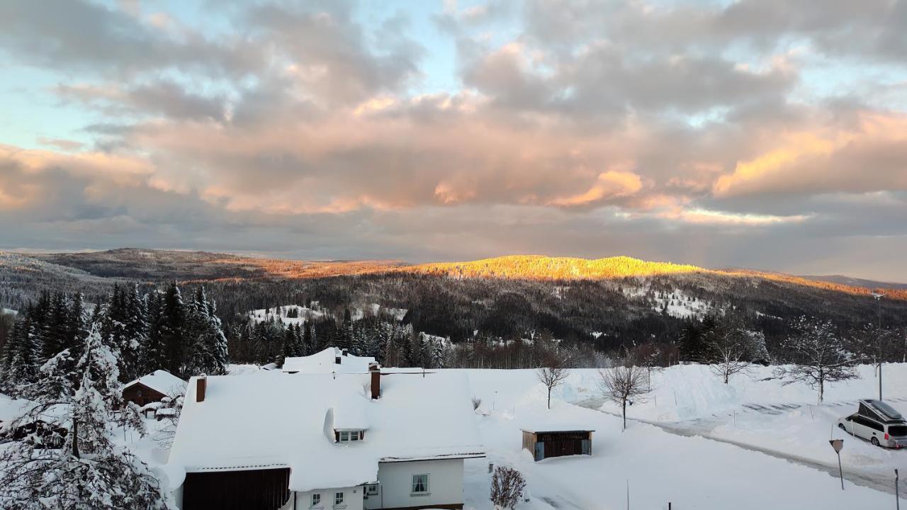 Two Apartaments Almberg - Mitterdorf-Mitterfirmiansreut Exteriör bild