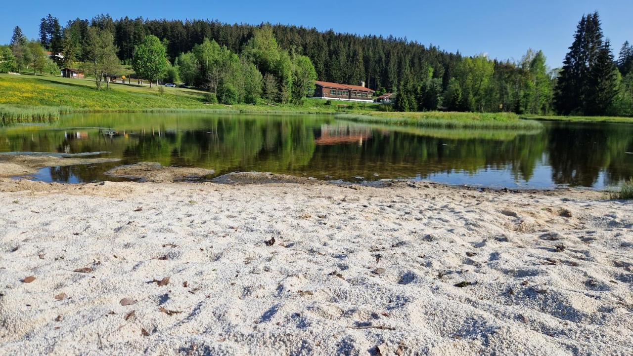Two Apartaments Almberg - Mitterdorf-Mitterfirmiansreut Exteriör bild